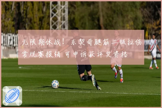 无限期休战！东契奇腿筋二级拉伤常规赛报销 可申诉获评奖资格