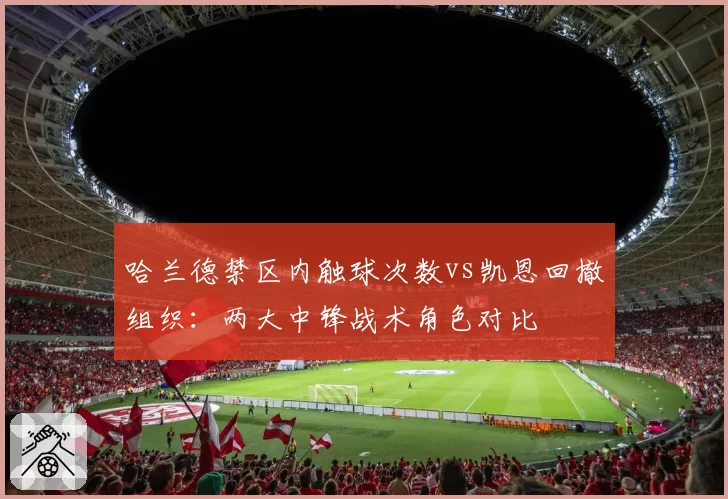 哈兰德禁区内触球次数vs凯恩回撤组织:两大中锋战术角色对比
