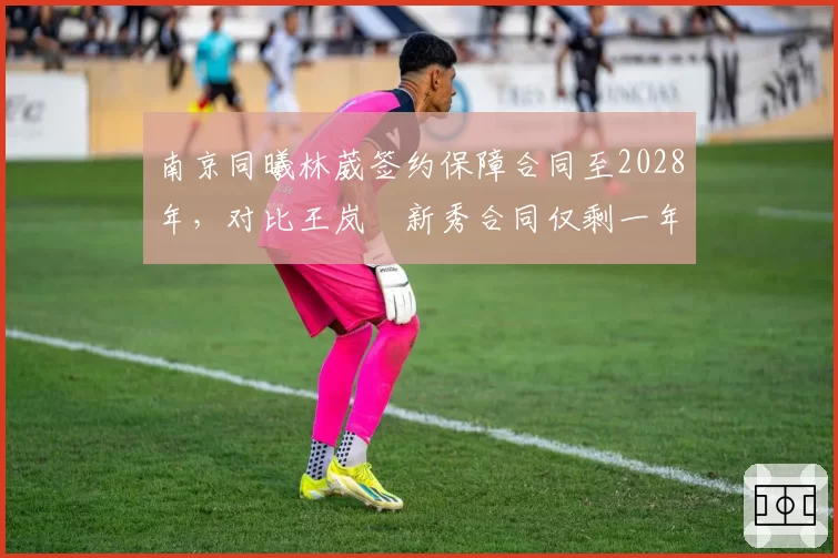 南京同曦林葳签约保障合同至2028年，对比王岚嵚新秀合同仅剩一年续约压力