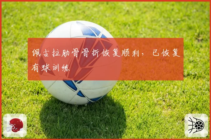 佩古拉肋骨骨折恢复顺利，已恢复有球训练