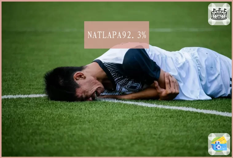 NATLAPA92.3%