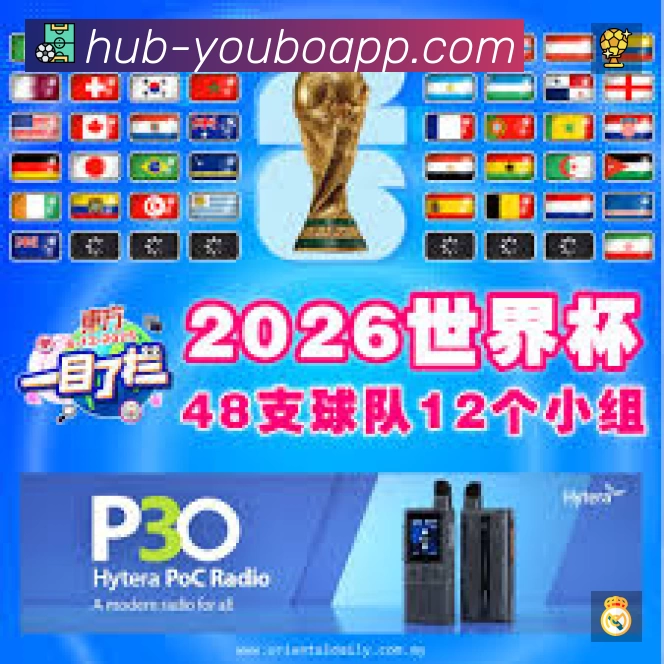 奖项证书